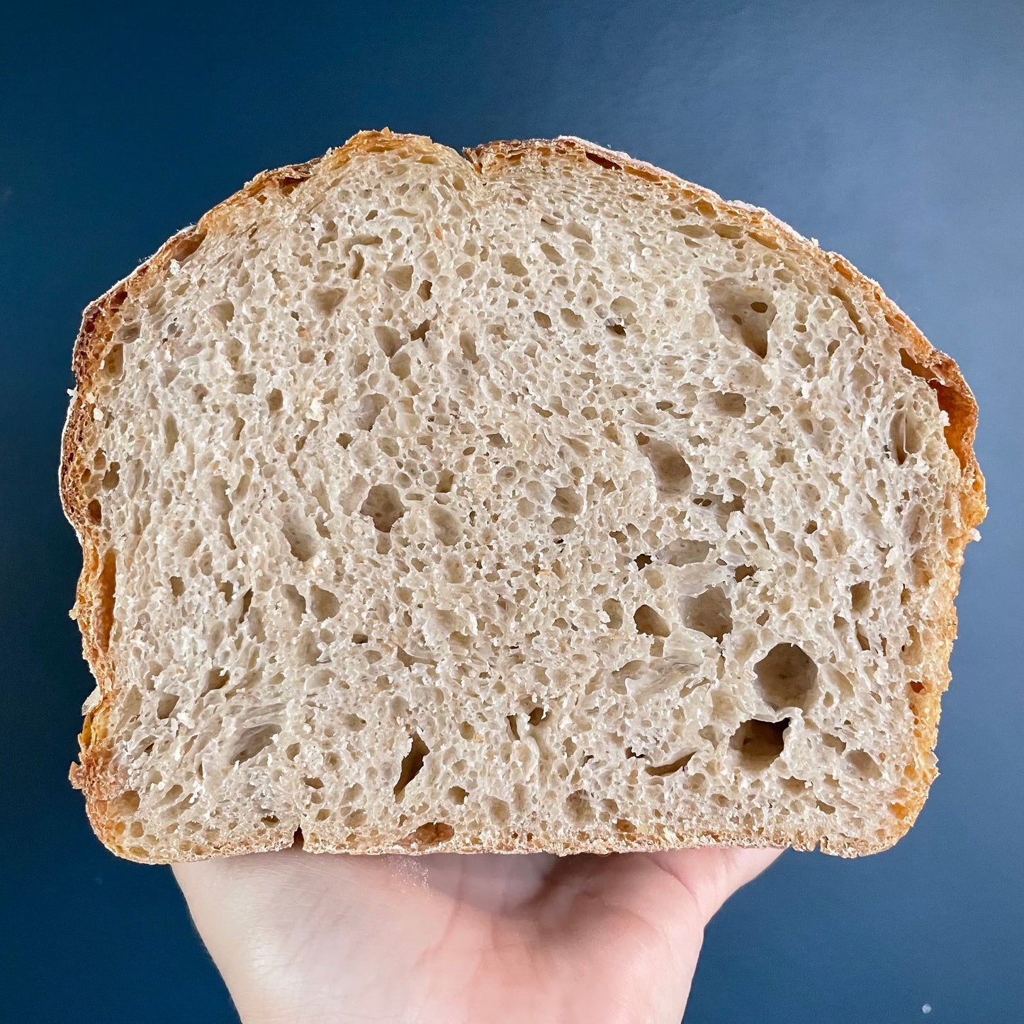 Foxglove Sourdough Loaf